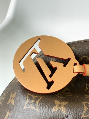 Monogram Shadow Calf Leather LV Montsouris PM طلسم جداشدنی کوله پشتی