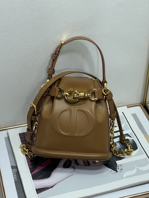 کیف C'est Dior نقش برجسته زین طلایی سی دی کریستین دیور اسپرت کیف چرم گوساله