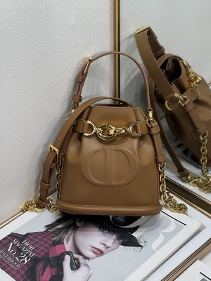کیف C'est Dior نقش برجسته زین طلایی سی دی کریستین دیور اسپرت کیف چرم گوساله