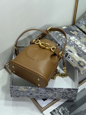 کیف C'est Dior نقش برجسته زین طلایی سی دی کریستین دیور اسپرت کیف چرم گوساله