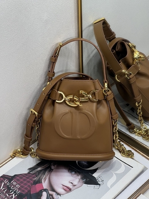 کیف C'est Dior نقش برجسته زین طلایی سی دی کریستین دیور اسپرت کیف چرم گوساله