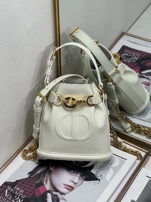 کیف C'est Dior نقش برجسته زین طلایی سی دی کریستین دیور اسپرت کیف چرم گوساله