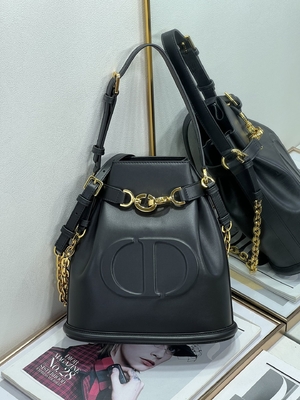 کیف C'est Dior نقش برجسته زین طلایی سی دی کریستین دیور اسپرت کیف چرم گوساله